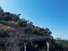 -福道