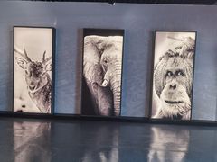 -中国湿地博物馆