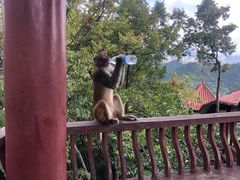 -黔灵山公园