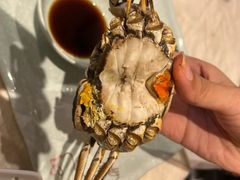 大闸蟹-抱德·潮汕味(敦和店原惠城鱼仔)