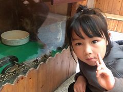 -上海大自然野生昆虫馆(东方明珠·爬宠昆虫探索中心)