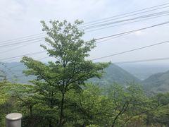-樱桃山旅游景区