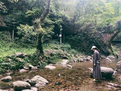 -石台牯牛降景区