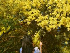 -厦门国家会计学院