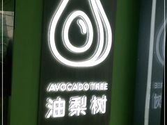 -油梨树AVOCADO TREE(望京店)