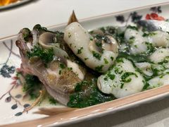 -蝶园·装修中(BFC外滩金融中心店)