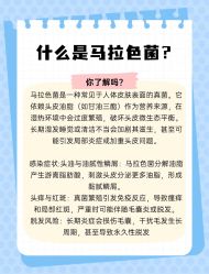 -Bollins波林丝•专研护发中心