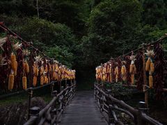 -刘伯温故里景区百丈漈