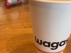 -Wagas沃歌斯(虹桥机场T1店)