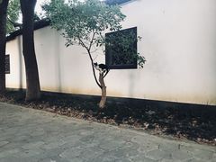 -苏州科技大学石湖校区-图书馆