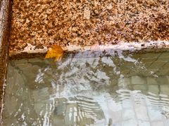 -春晖园度假酒店温泉