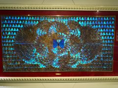 -上海昆虫博物馆