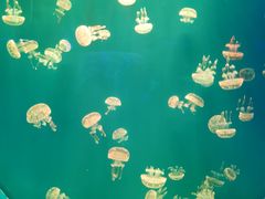 -多彩贵州城极地海洋世界