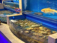 水产区-乔哥铭洋海鲜自助(皇城恒隆广场店)