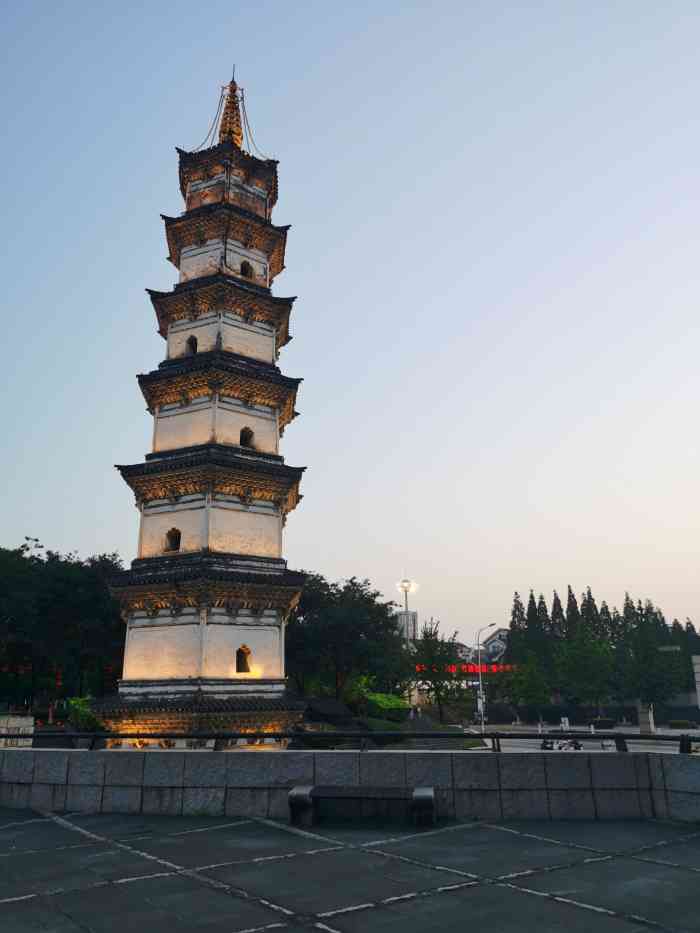 龙洲公园-"我真的好喜欢好喜欢好喜欢小猫咪啊!毛茸茸.