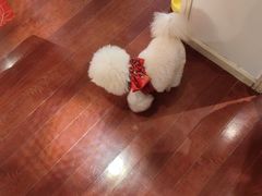 -麦度量贩式KTV(中联广场店)