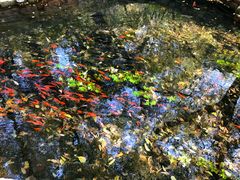 -水磨沟公园