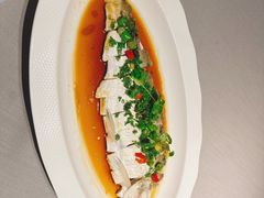 椒麻白丝鱼-润苑(徐汇店)