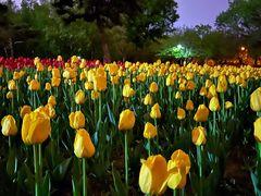 -长春公园(普阳街道)