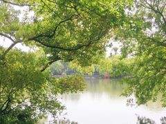 -西湖外事游船(花港观鱼码头)