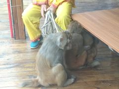 -宁波五龙潭景区