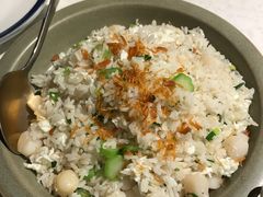 瑶柱蛋白带子炒饭-裕.鹅庄