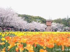 -北京上方山国家森林公园