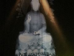 -印象普陀