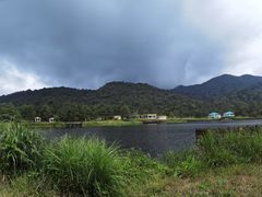-海南热带雨林国家公园吊罗山景区