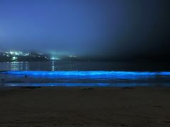 -南麂列岛