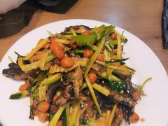 -杨氏青龙虾·羊蝎子(金盛路总店)