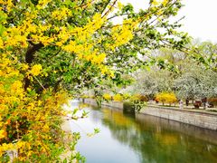 -元大都城垣遗址公园