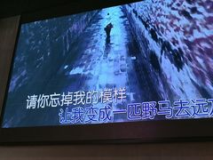 -沈胖子音乐烤吧·炒菜·龙虾(环城东路店)