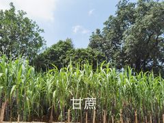 -天河儿童公园