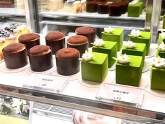 -光明小镇欢乐田园