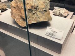 -湖南省地质博物馆
