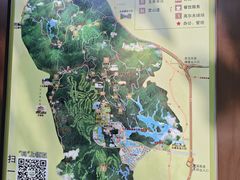 -大屏嶂森林公园