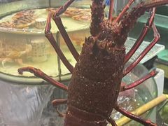 -强记海鲜·大排档(蛇口新街店)