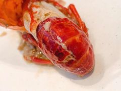 -龙巢盱眙龙虾·牛蛙·烧烤宵夜(八卦岭店)