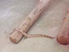 -上方山森林动物世界