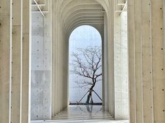 -中国宣纸文化园