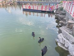 -泉城欧乐堡梦幻世界