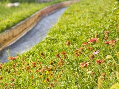 -雪山彩虹谷景区