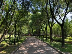 -上海市龙华烈士陵园