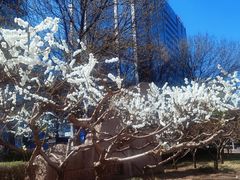 -中国农业大学(西校区)