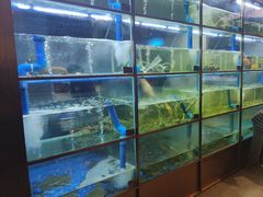 -蚝伯·新派海鲜(荣昌店)