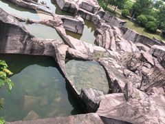 -蛇蟠岛