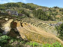 -紫鹊界梯田景区