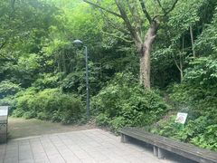 -西湖风景区-江洋畈生态公园