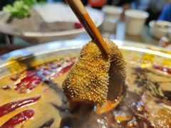 -渝厨生态火锅(合川区府店)